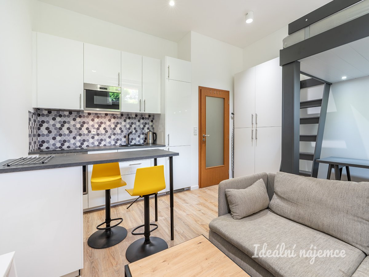 Pronájem bytu 1+kk, Rudolfa Holeky, Černý Most,  16500 Kč/měs, 27 m2