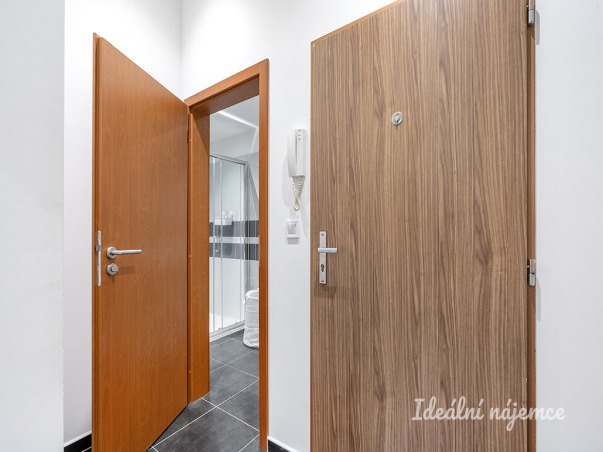 Pronájem bytu 1+kk, Rudolfa Holeky, Černý Most,  16500 Kč/měs, 27 m2