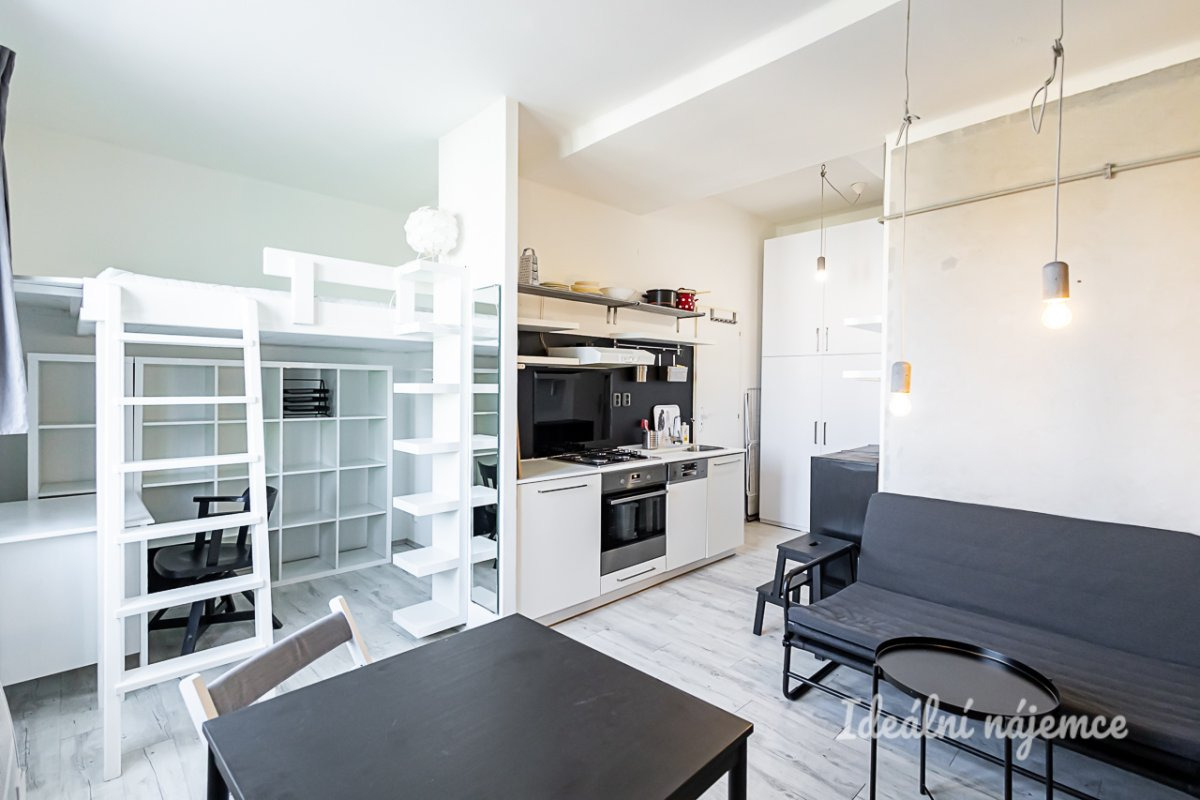 Pronájem bytu 1+kk, Biskupcova, Žižkov, 17500 Kč/měs, 22 m2