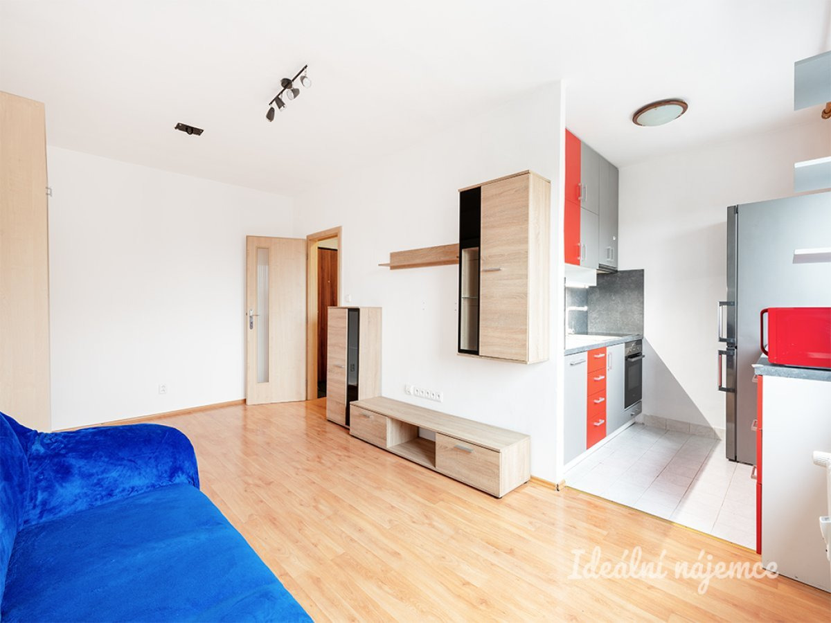 Pronájem bytu 1+kk, Svojšovická, Záběhlice, 16900 Kč/měs, 30 m2