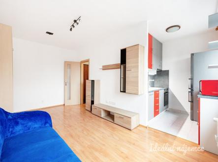 Pronájem bytu, 1+kk, 30 m²
