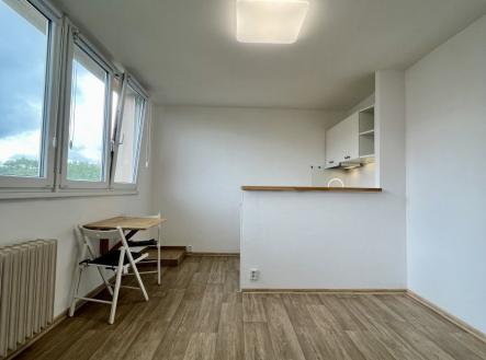 Pronájem bytu, 1+kk, 23 m²