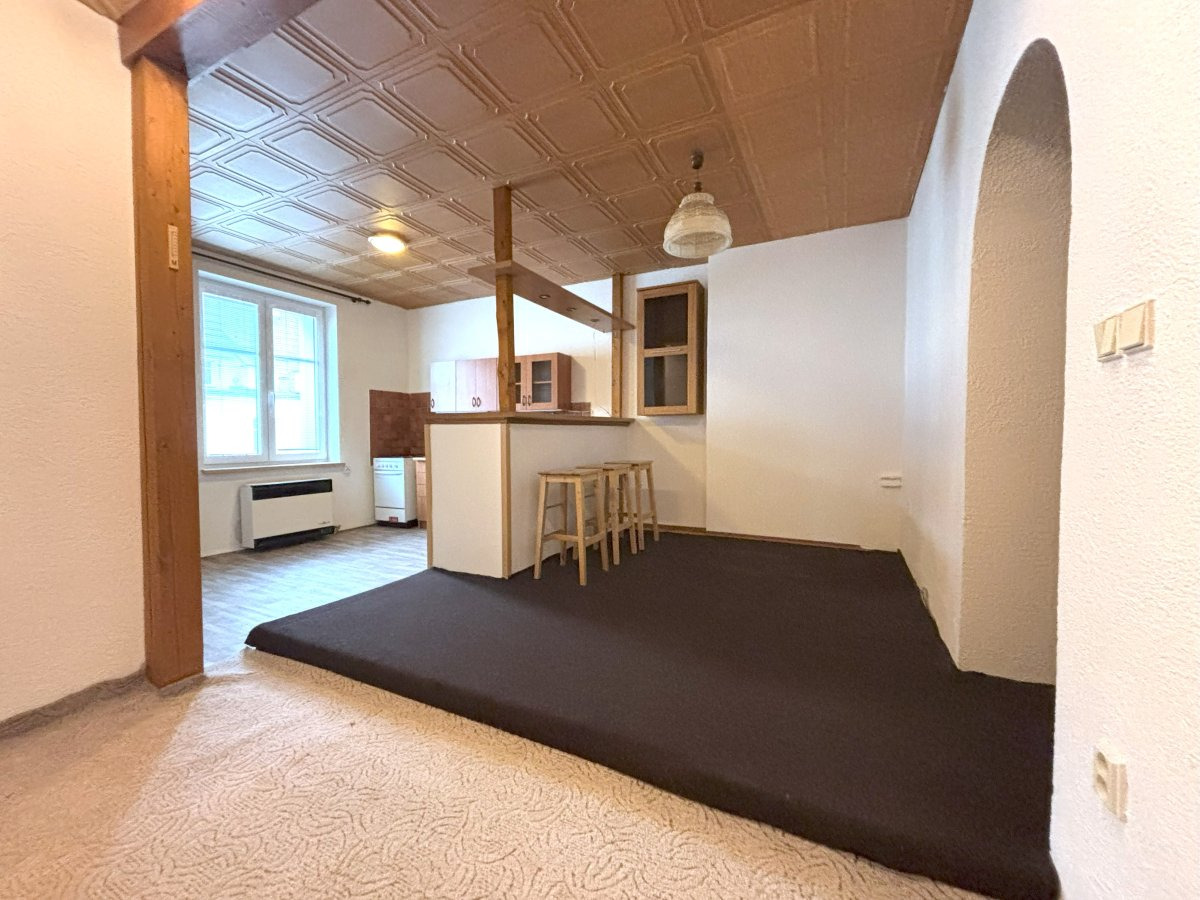 Pronájem bytu 2+kk, Čechova, Plzeň, 13.490 Kč/měs, 51 m2