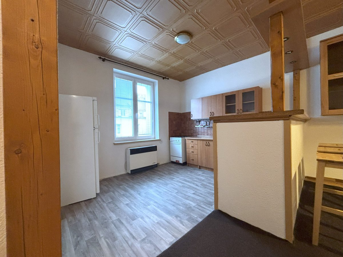 Pronájem bytu 2+kk, Čechova, Plzeň, 13.490 Kč/měs, 51 m2