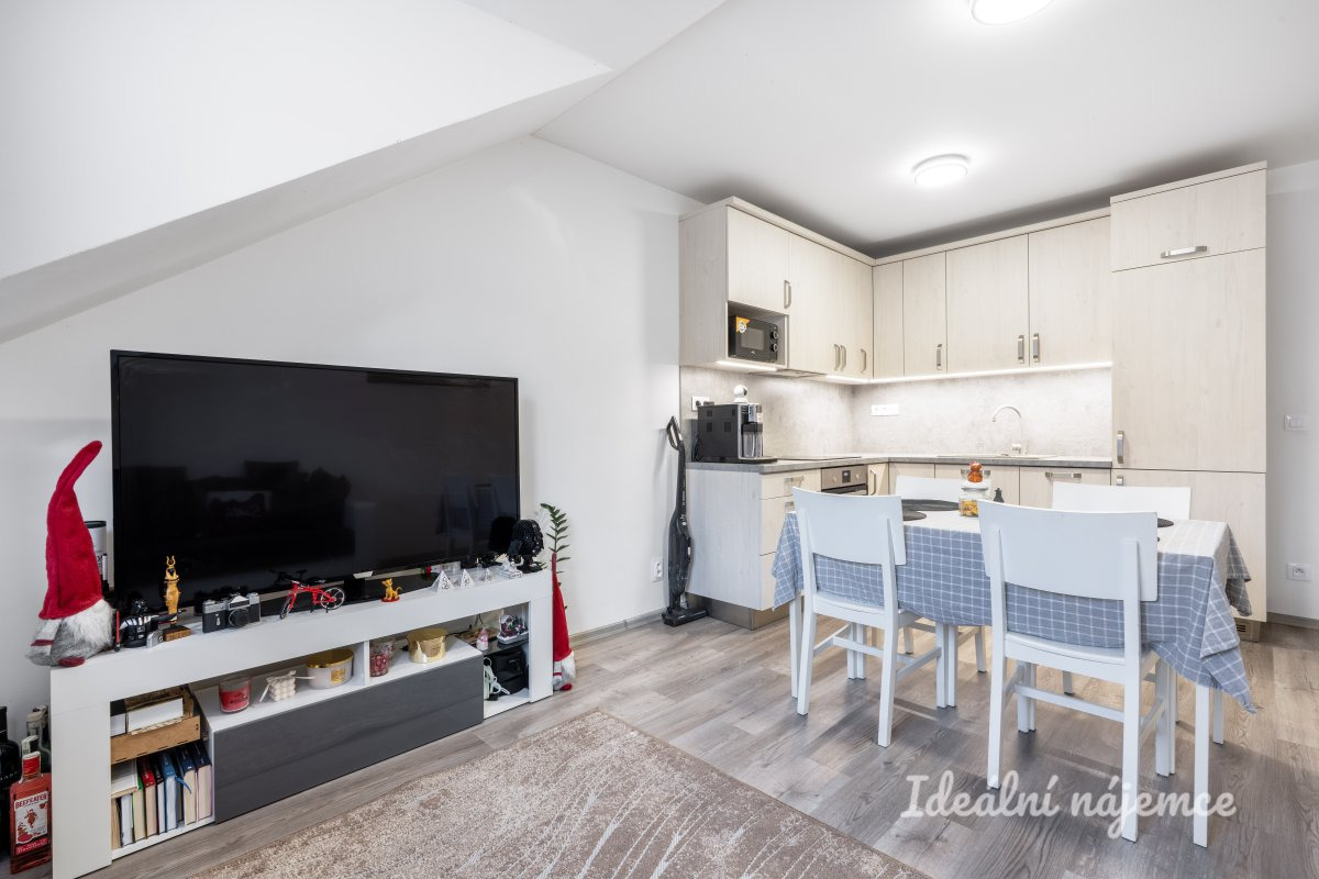 Pronájem bytu 2+kk, Nad přívozem, Braník, 42 m2