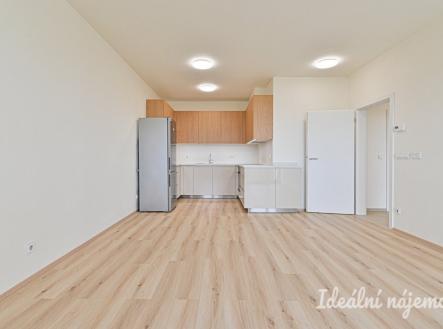 Pronájem bytu, 2+kk, 56 m²