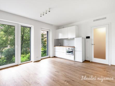 Pronájem bytu, 1+kk, 27 m²