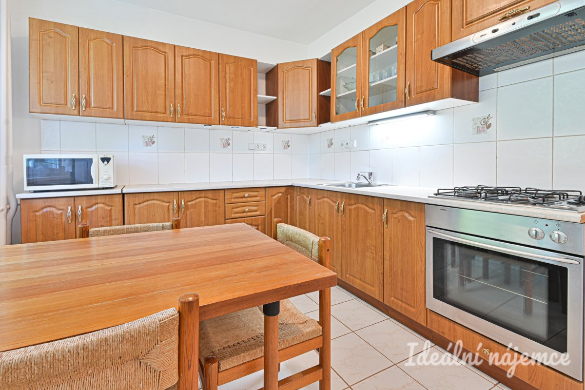 Pronájem bytu 1+1, Pod Nemocnicí, Bohunice, 15.200 Kč/měs, 45 m2