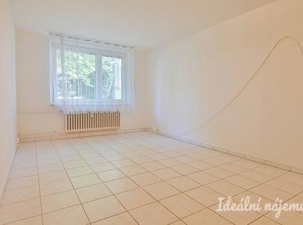 Pronájem bytu, 1+1, 45 m²