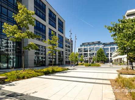 Pronájem bytu, 2+kk, 52 m²