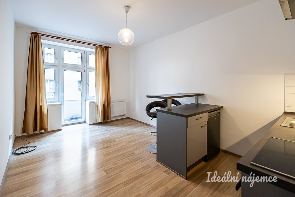 Pronájem bytu 2+kk, Biskupcova, Žižkov, 21900 Kč/měs, 44 m2