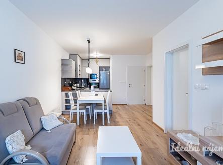 Pronájem bytu, 2+kk, 53 m²
