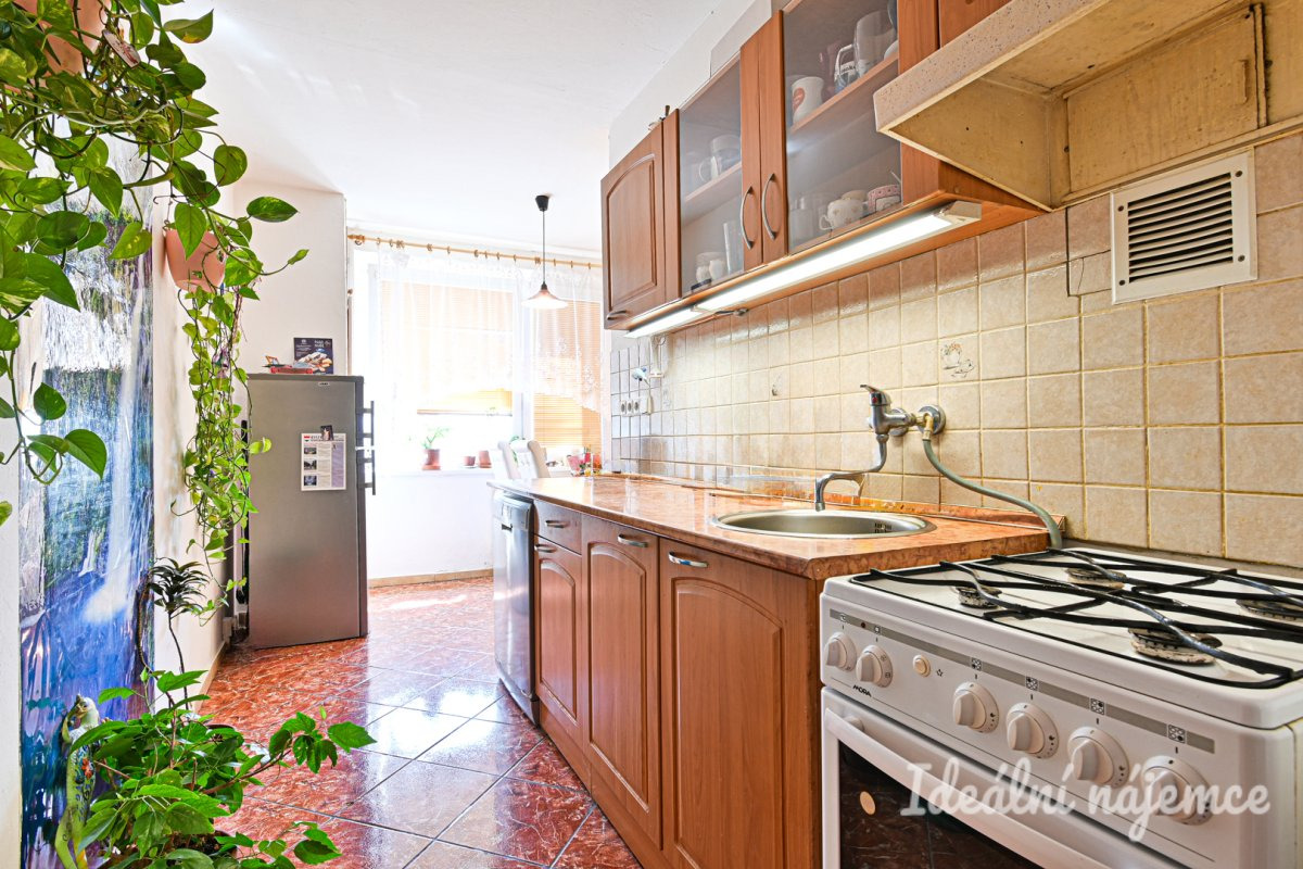 Pronájem bytu 2+1, Opálkova, Bystrc, 24 000 Kč/měs, 62 m2