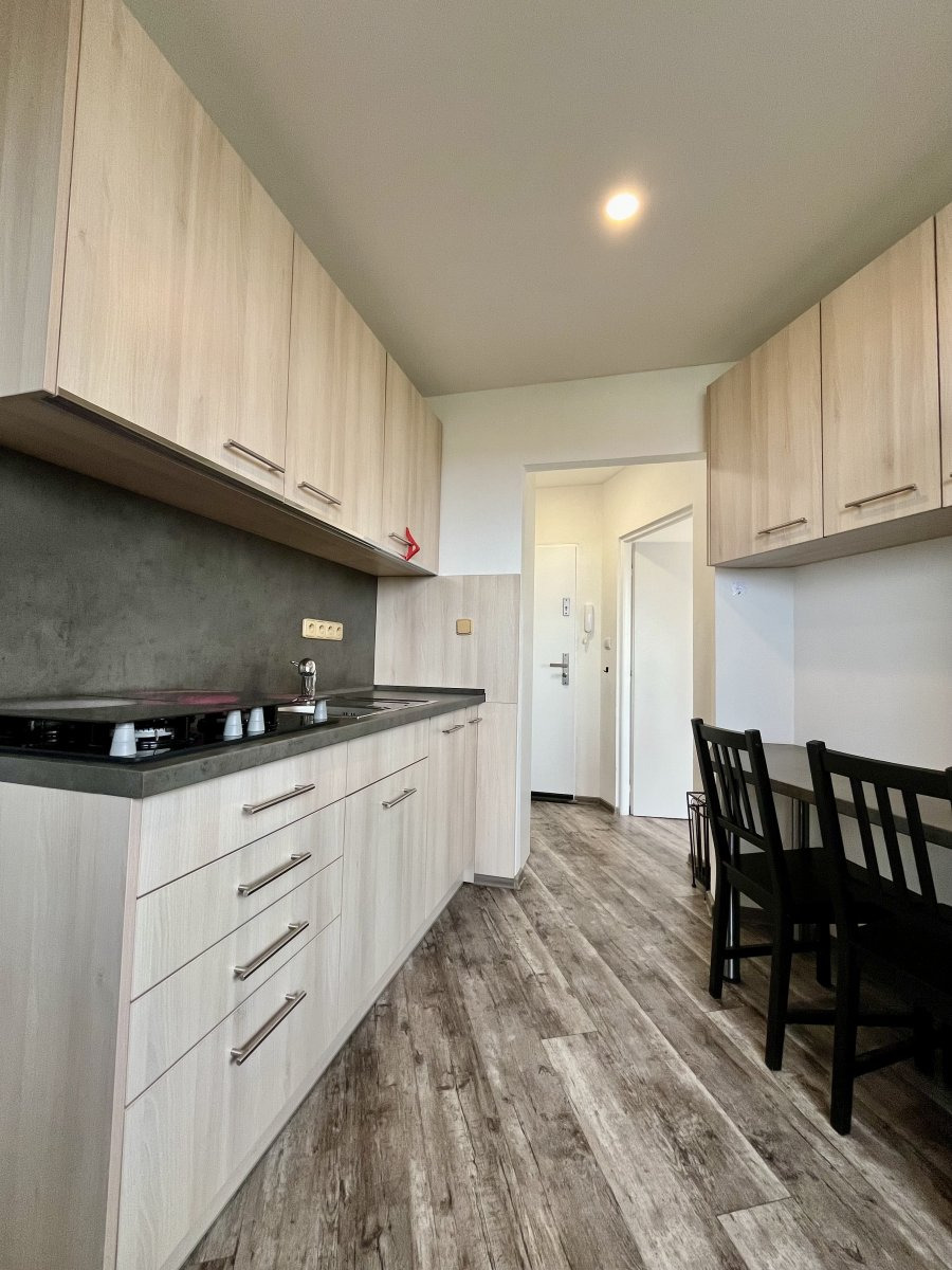 Pronájem bytu 2+1, Horní, Hrabůvka, 12400 Kč/měs, 43 m2