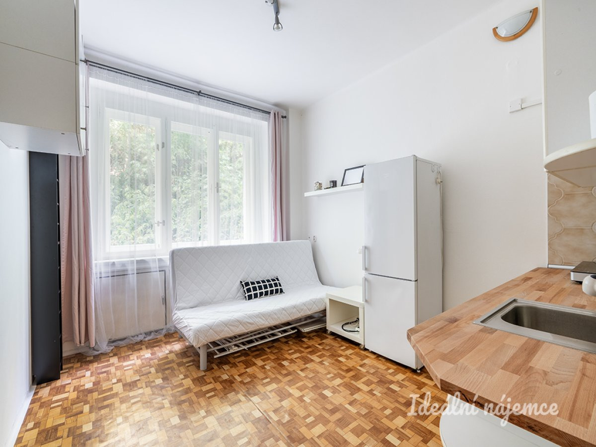 Pronájem bytu 1+kk, Soběslavská, Vinohrady,  13 000 Kč/měs, 20 m2