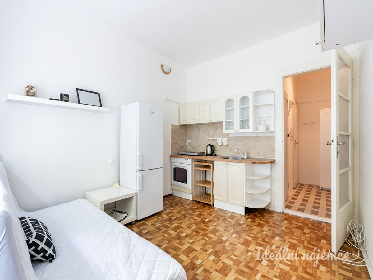 Pronájem bytu 1+kk, Soběslavská, Vinohrady,  14000 Kč/měs, 20 m2
