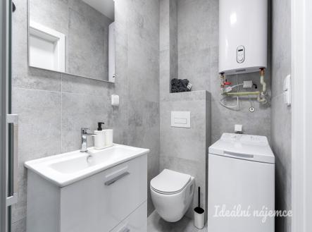 Pronájem bytu, 1+kk, 24 m²