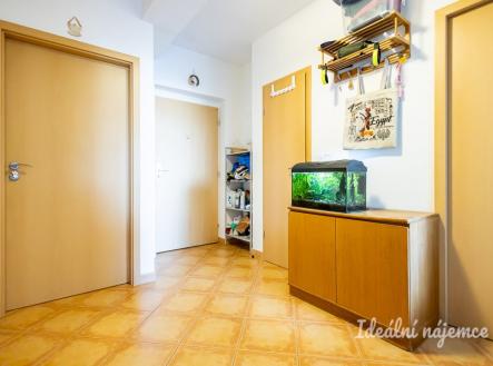 Pronájem bytu, 3+kk, 70 m²
