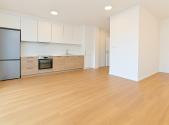 Pronájem bytu, 1+kk, 33 m²