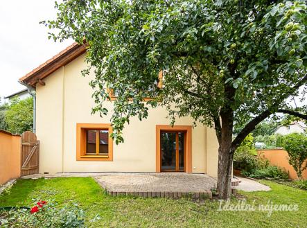 Pronájem bytu, 6+1, 221 m²