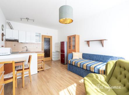 Pronájem bytu, 1+kk, 34 m²
