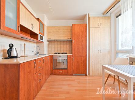 Pronájem bytu, 1+1, 45 m²