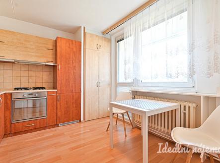 Pronájem bytu, 1+1, 45 m²