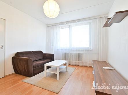 Pronájem bytu, 1+1, 45 m²