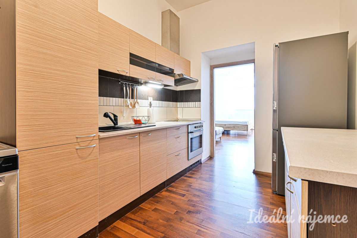 Pronájem bytu 1+1, Francouzská, Zábrdovice,  Kč/měs, 48 m2