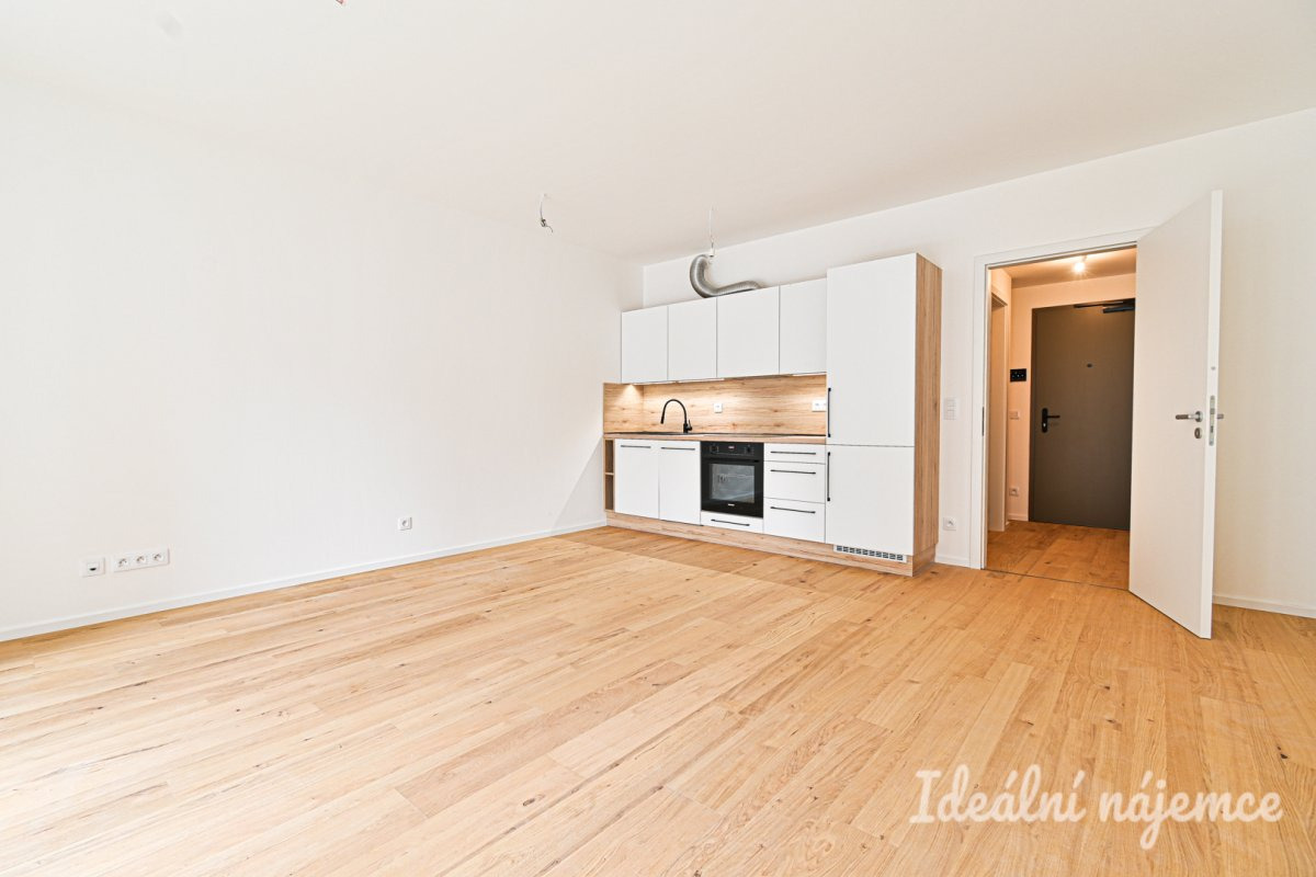 Pronájem bytu 1+kk, Bratislavská, Zábrdovice,  18000 Kč/měs, 37 m2