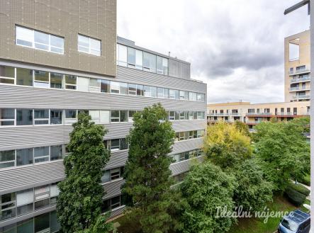 Pronájem bytu, 1+kk, 28 m²