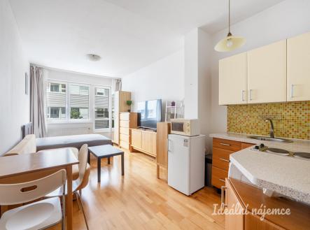 Pronájem bytu, 1+kk, 28 m²
