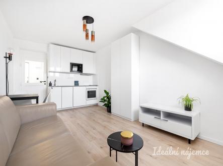 Pronájem bytu, 1+kk, 23 m²