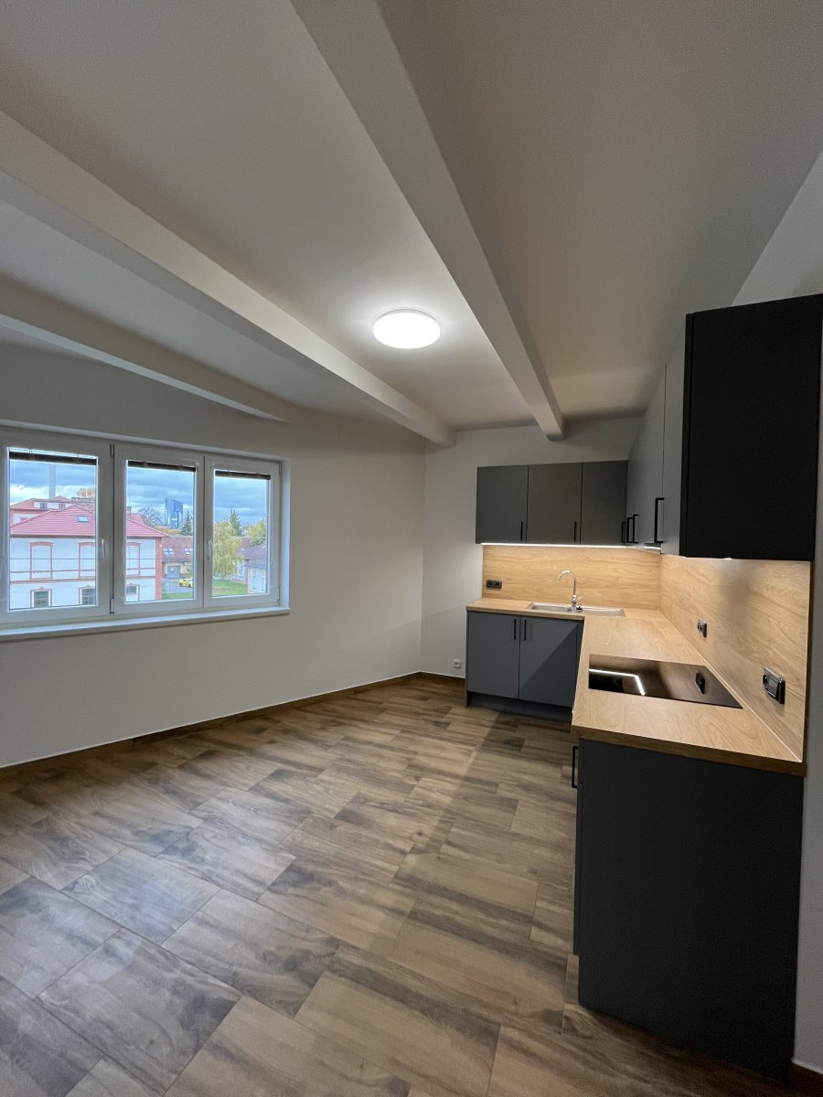 Pronájem bytu 2+1 s parkováním a zahrádkou, Holická, Hodolany, 18000Kč/měs, 68 m2