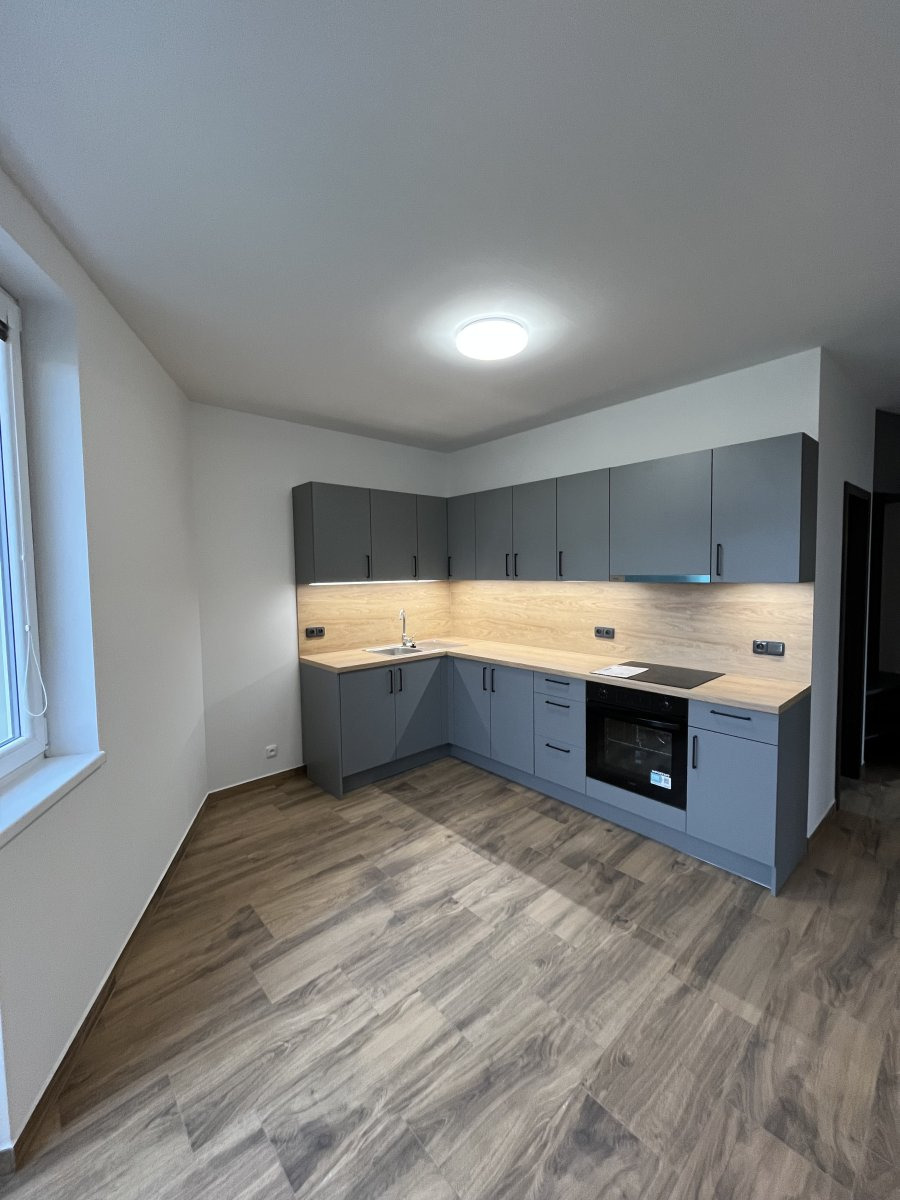 Pronájem bytu 2+1 s parkováním a zahrádkou, Holická, Hodolany, 18000Kč/měs, 68 m2