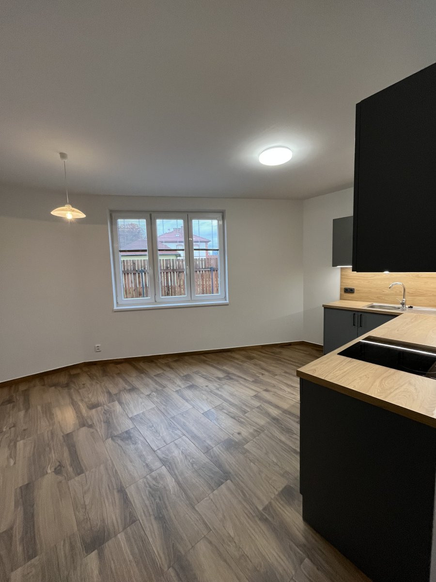 Pronájem bytu 2+1 s parkovacím místem a zahrádkou, Holická, Hodolany,18000 Kč/68 m2