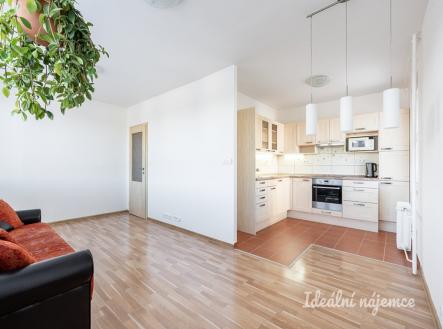 Pronájem bytu, 3+kk, 67 m²