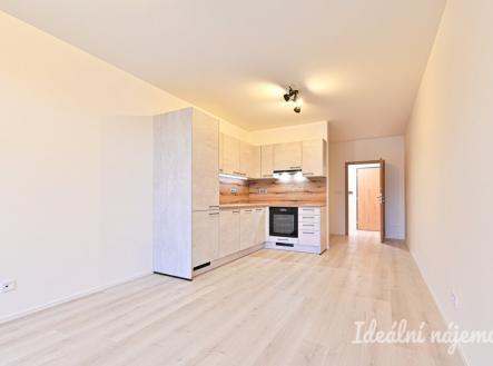 Pronájem bytu, 1+kk, 37 m²