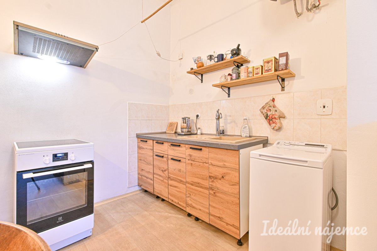 Pronájem bytu 1+1, Bratislavská, Zábrdovice, 40 m2