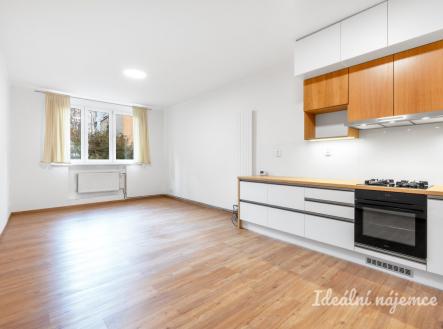 Pronájem bytu, 2+kk, 52 m²