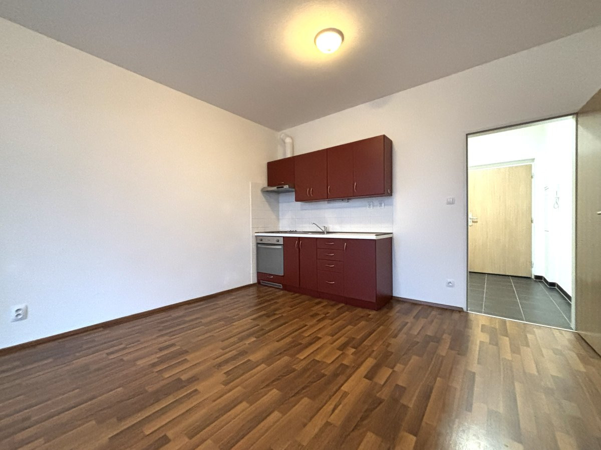 Pronájem bytu 1+kk, Technická, Plzeň,  13.000,- Kč/měs, 27 m2