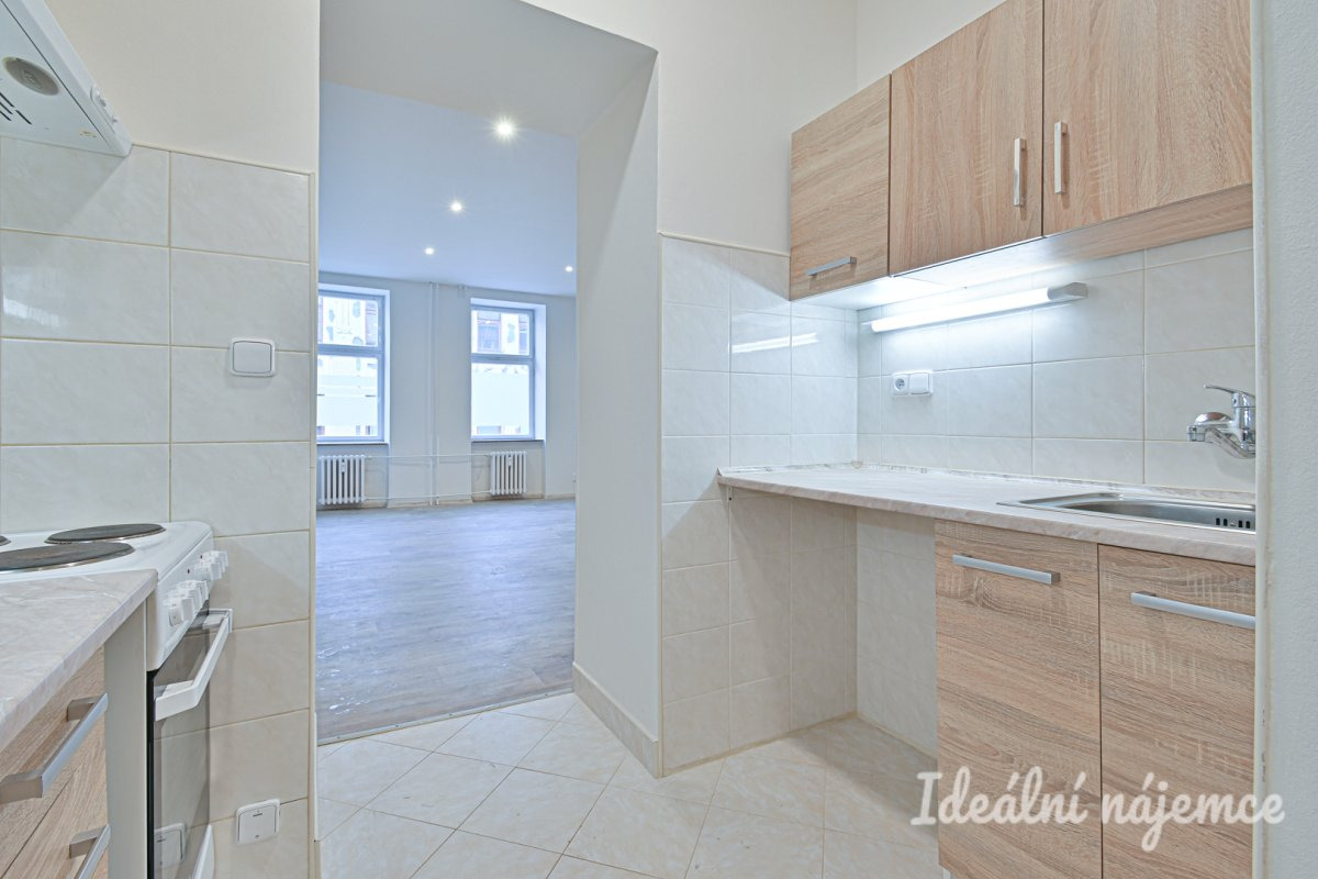 Podnájem bytu 1+1, Antonínská, Brno-Veveří, 19.350 Kč/měsíc, 38 m2