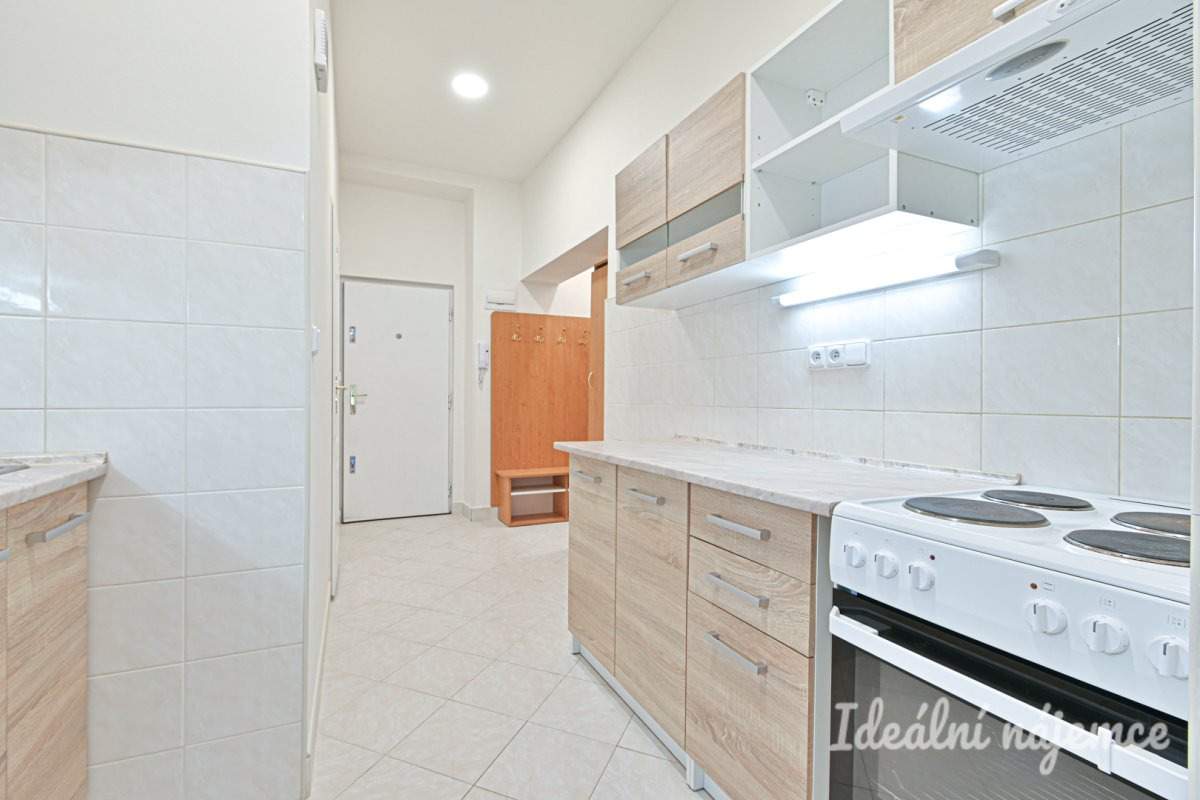 Podnájem bytu 1+1, Antonínská, Brno-Veveří, 18.000 Kč/měsíc, 38 m2