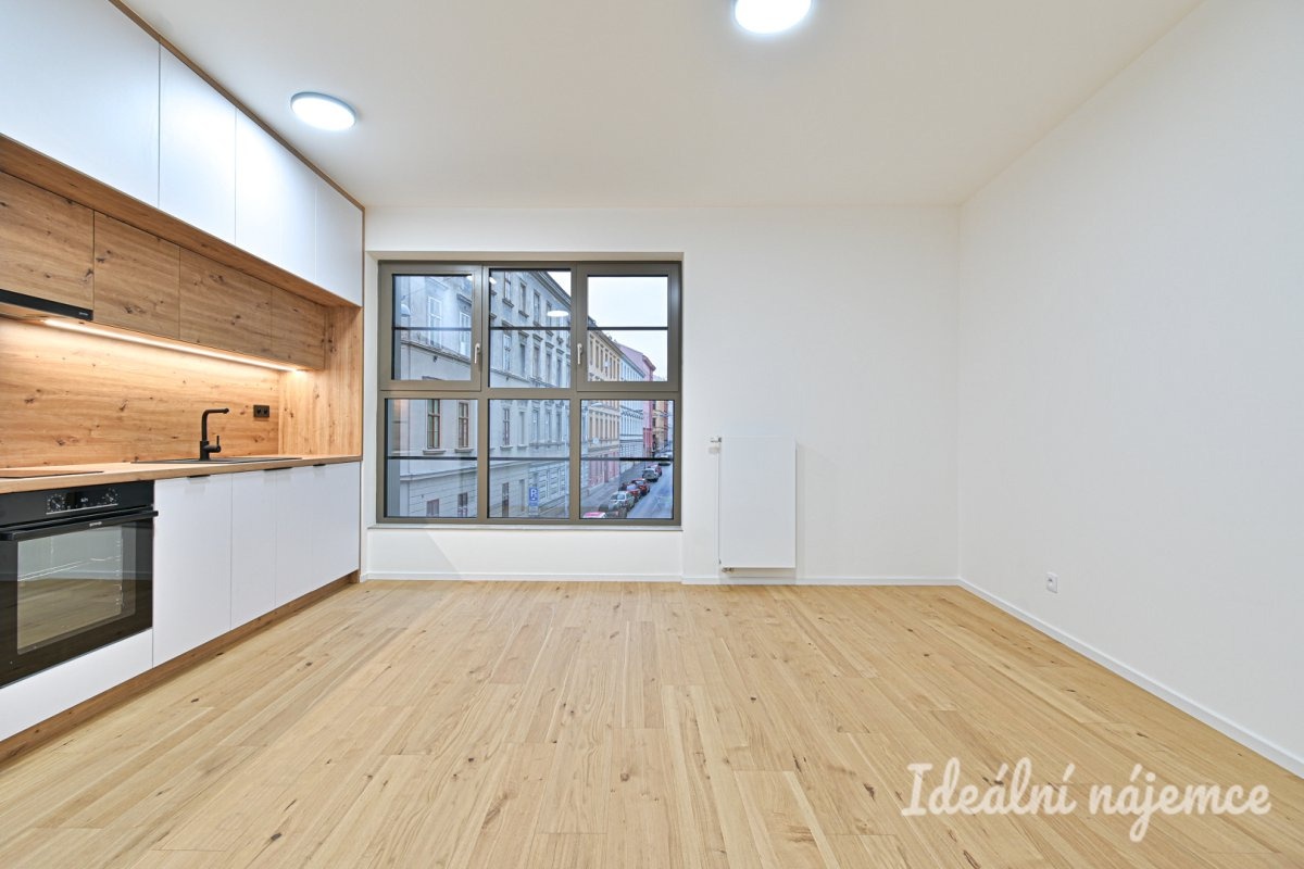 Pronájem bytu 1+kk, Bratislavská, Zábrdovice,  Kč/měs, 29 m2