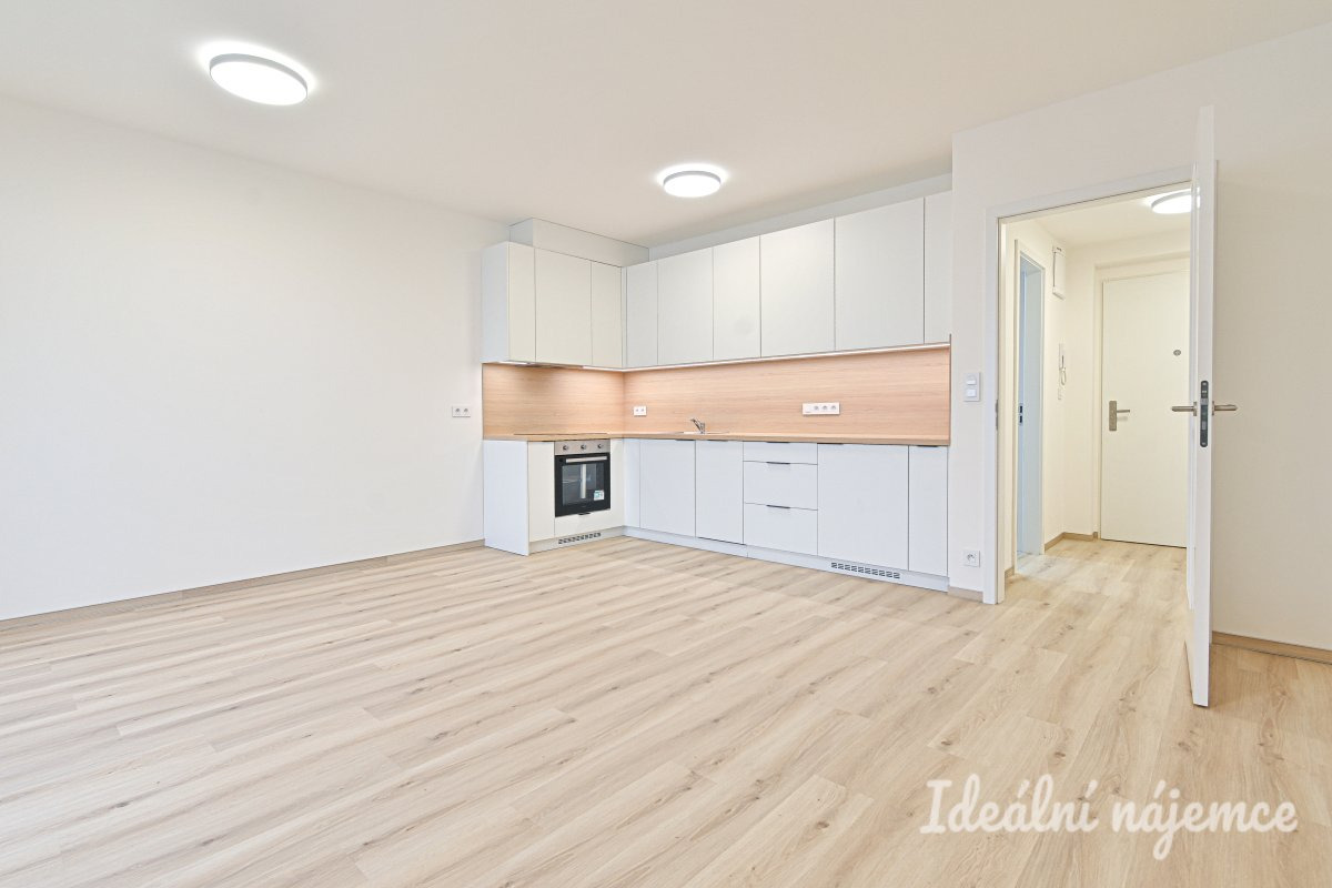 Pronájem bytu 1+kk, Jižní, Horní Heršpice, 15900 Kč/měs, 35 m2