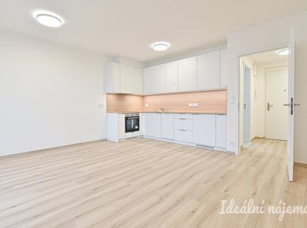Pronájem bytu, 1+kk, 35 m²