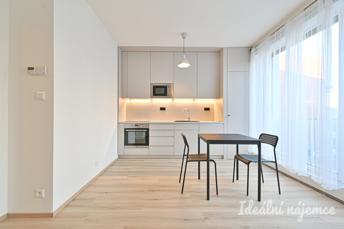 Podnájem bytu 1+kk, Rybářská, Staré Brno,  15.000 Kč/měs, 29 m2