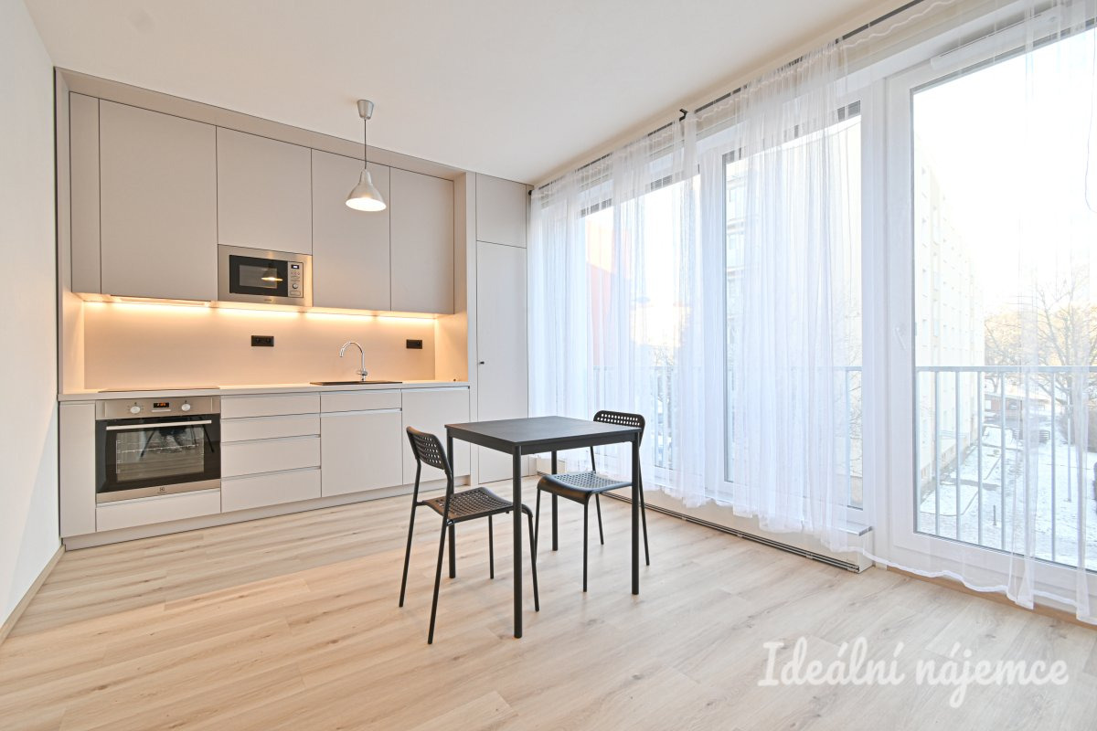 Podnájem bytu 1+kk, Rybářská, Staré Brno,  15.000 Kč/měs, 29 m2