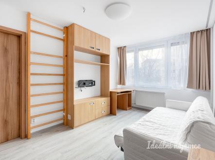 Pronájem bytu, 2+1, 39 m²