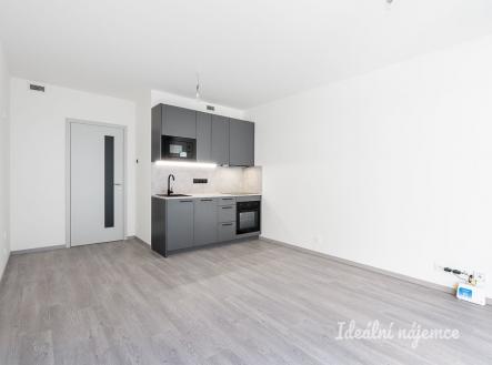 Pronájem bytu, 1+kk, 32 m²